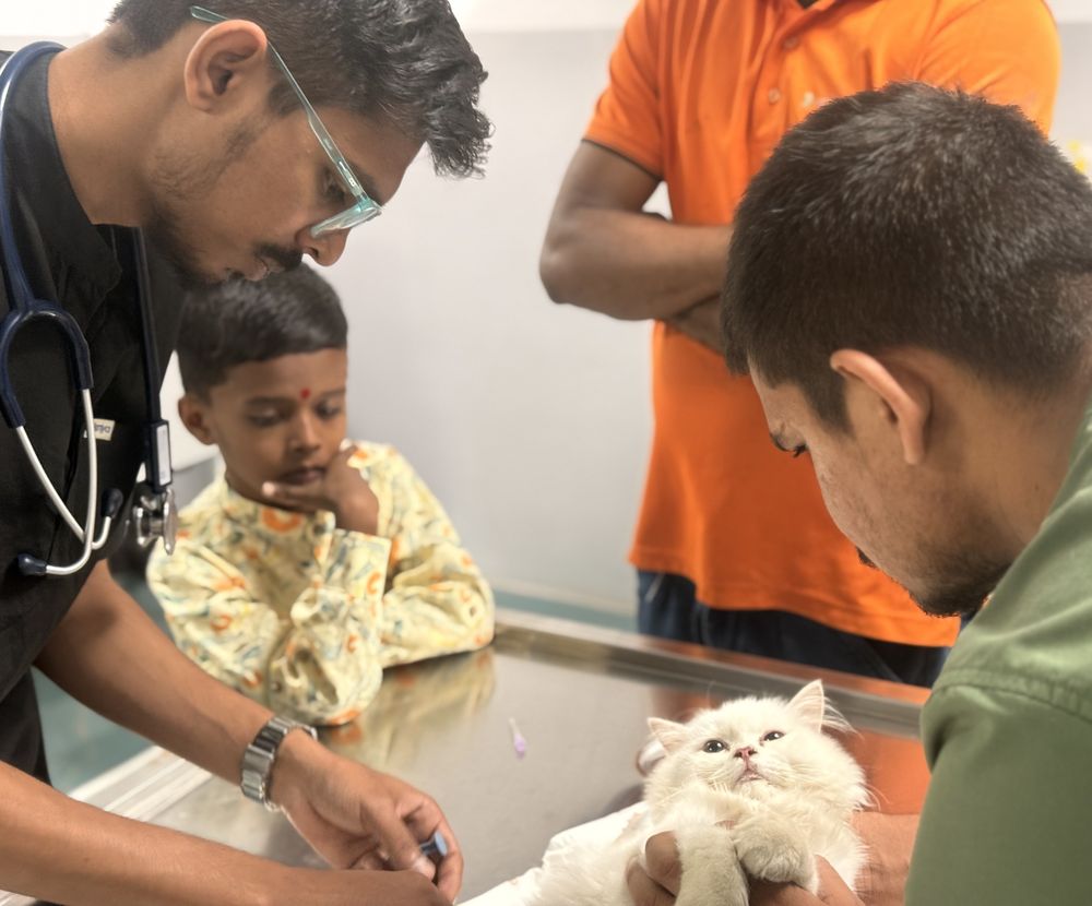 A Hasku & Tails vet with a young pet parent during a cat's check-up